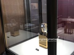 -谢列梅捷沃国际机场
