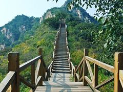 -大岭沟猕猴桃谷风景区