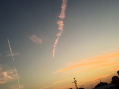 -海堤纪念公园
