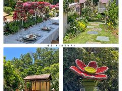 -深圳市中科院仙湖植物园