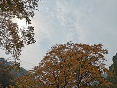 -秦岭终南山世界地质公园翠华山景区