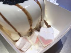 -狐狸和向日葵(北京路店)