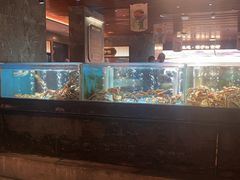 -紫阳海鲜楼·传承闽味(长乐路总店)
