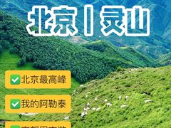 -灵山
