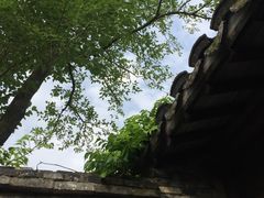 -田园东方蜜桃村的田野营地