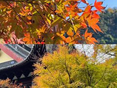 -雁荡山风景名胜区