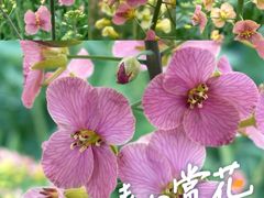 -中国天府农业博览园