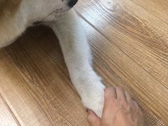 -YCHL Studios健身工作室(市二宫店)