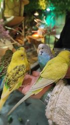 -酷嗒动物文化乐园(cutezoo西溪乐天城店)