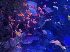 -沈阳海洋探索中心