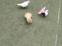 -成都欢乐谷