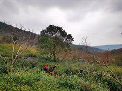 -缥缈峰景区