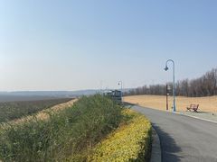 -南京枫彩漫城