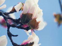 -西湖文化广场