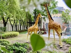 -大宁国际幼儿园(永和东路)