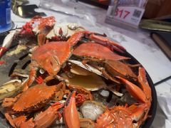 -半岛听涛蒸汽海鲜自助(K11店)