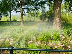 -北京植物园南门售票处