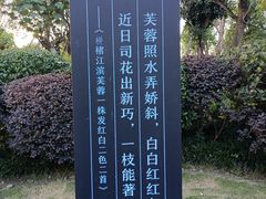 -天府芙蓉园
