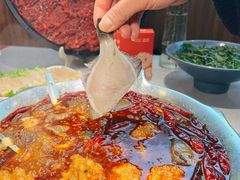 -渝大龙重庆火锅(温泉月亮湾店)