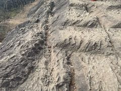 -灵顺寺