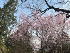 -颐和园