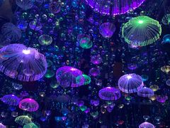 -梵高星空艺术馆(北京旗舰店)