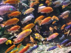 -太平洋海底世界