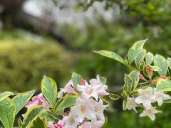 -杭州半山国家森林公园