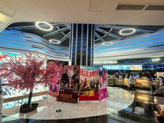 -春天国际影城(中庚漫游城杜比全景声店)