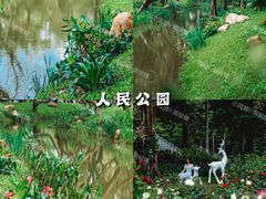 -深圳市中科院仙湖植物园