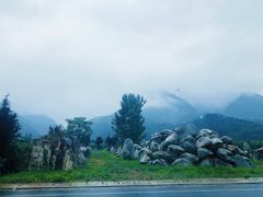 -黑河国家森林公园