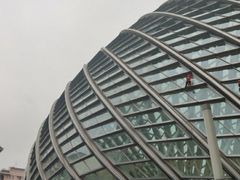 -凤凰中心