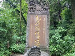 -青城山