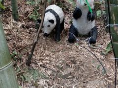 -石燕湖生态旅游景区