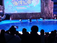 -华夏文旅海洋公园