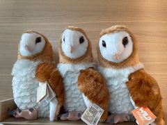 -ZOO COFFEE动物园咖啡(望京锐创店)