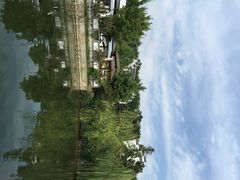 iphone_upload_pic-秋香鱼馆(世凹桃园店)