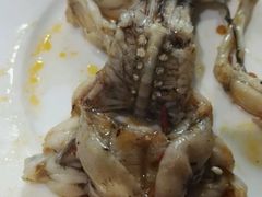 -靓蛙馆