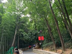 -灵岩山风景区