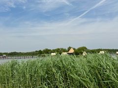 -西青郊野公园