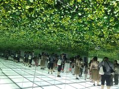 -印象莫奈时光映迹艺术展