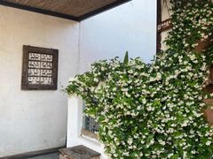 -悦哉·派对·草坪婚礼·围炉煮茶(三圣乡店)