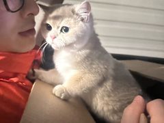 -唐小姐の猫狗洗护·购宠旗舰店(周浦万达店)