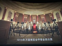 -金逸影城(大悦城IMAX激光店)