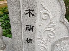 -塘沽森林公园