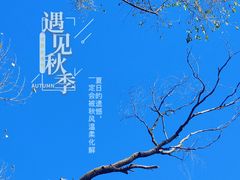 -沈阳鸟岛