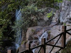 -大围山国家森林公园