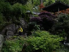 -南山植物园