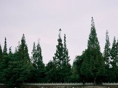 -蜀绣公园