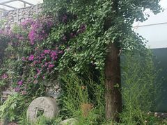 -老房子金沙元年川菜食府·花园餐厅(金沙店)